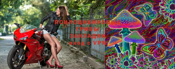 эйфоретик Кодинск