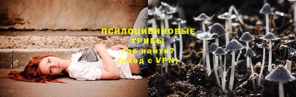 эйфоретик Кодинск