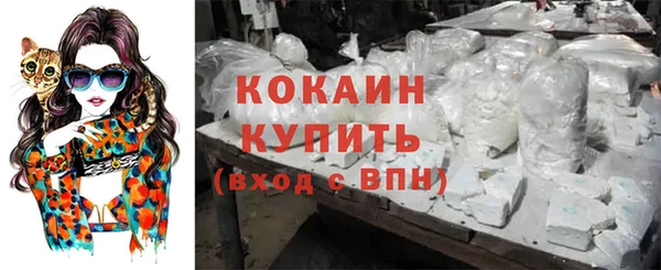 эйфоретик Кодинск