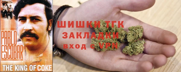 гидра Козельск