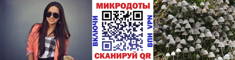 Купить закладки  Яблоновский  Галлюциногенные грибы Psilocybine cubensis 